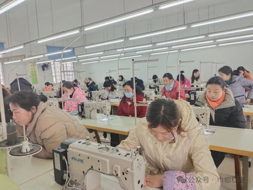 巾幗聯(lián)動(dòng)送技能，多措并舉促就業(yè)——信息技術(shù)咨詢服務(wù)助力婦女零距離發(fā)展