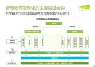 2019年中國(guó)教育信息化行業(yè)報(bào)告 信息技術(shù)咨詢服務(wù)